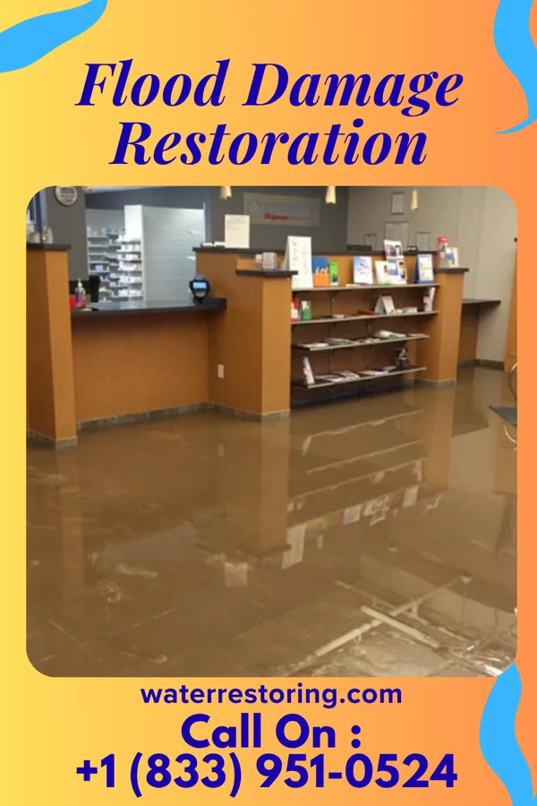 Flood Damage Restoration in Columbus, KS